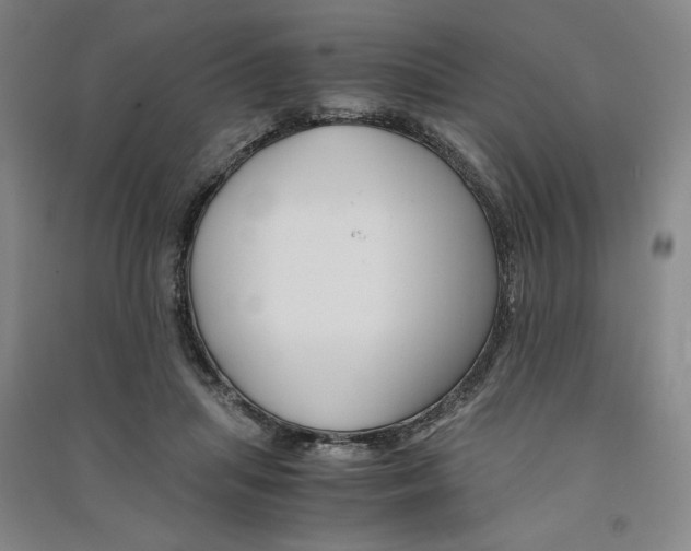 X0000091340455200708171414