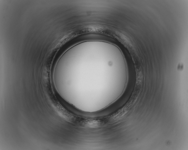 X0000091340456200708171414