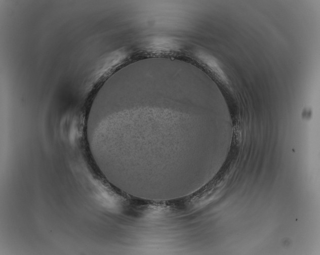 X0000091340458200708171414