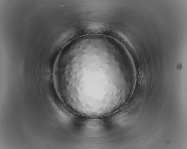 X0000091340459200708171414