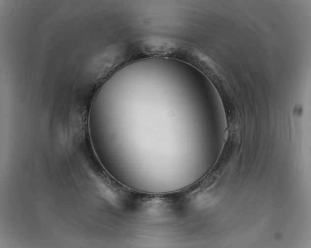 X0000091340460200708171414