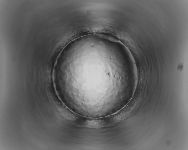 X0000091340461200708171414