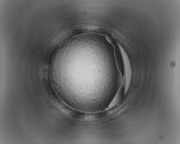 X0000091340462200708171414