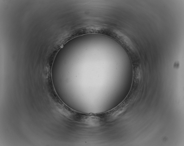 X0000091340463200708171414