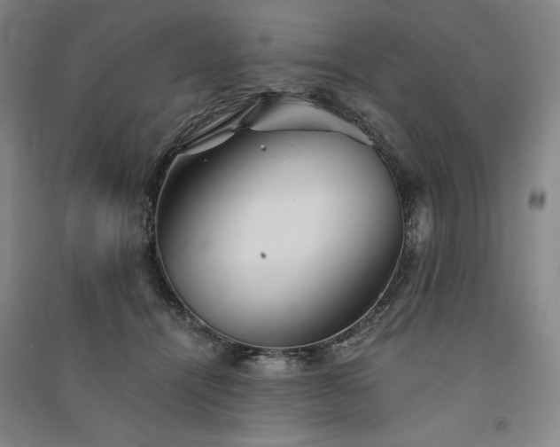 X0000091340464200708171414