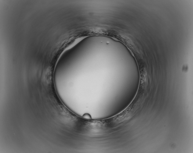 X0000091340466200708171414