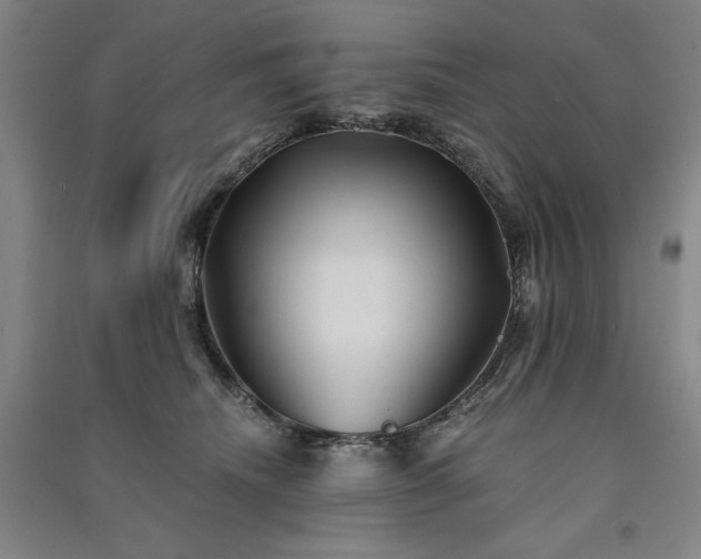 X0000091340468200708171414