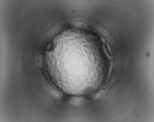 X0000091340469200708171414