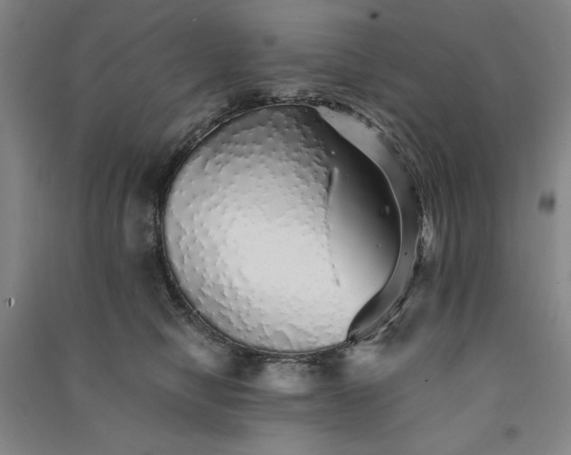 X0000091340470200708171414