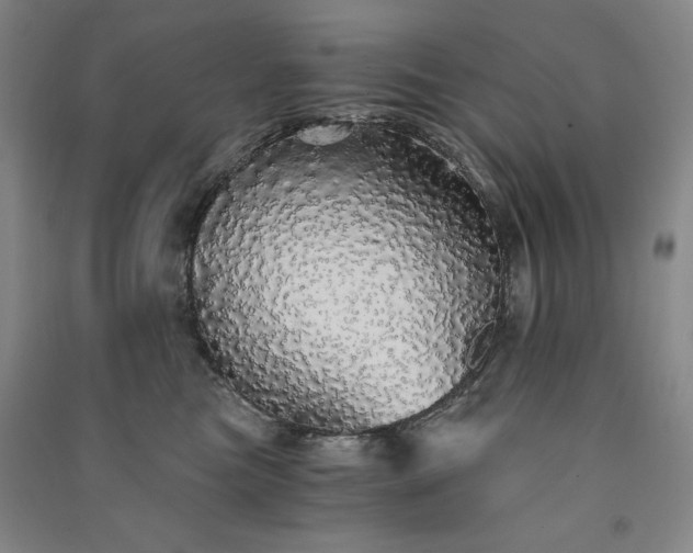 X0000091340473200708171414