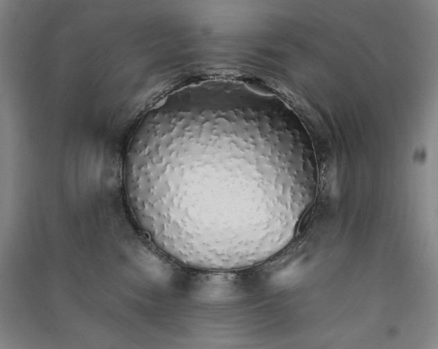 X0000091340474200708171414