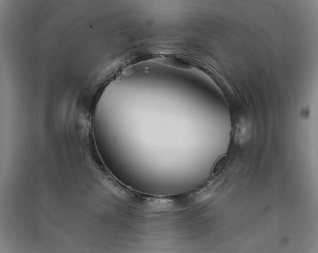 X0000091340476200708171414