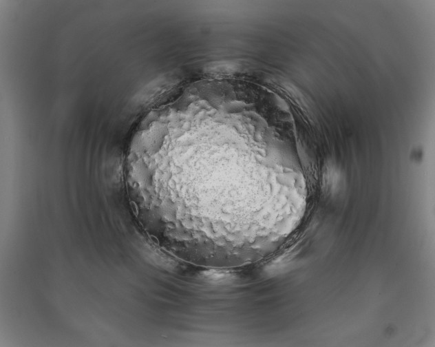 X0000091340477200708171414