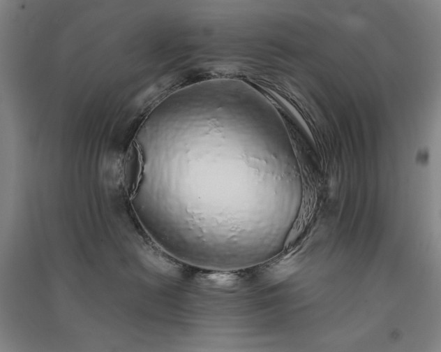 X0000091340478200708171414