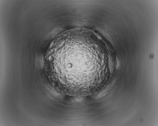 X0000091340479200708171414