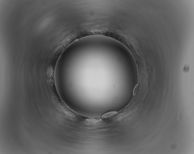 X0000091340480200708171414