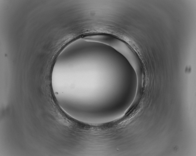 X0000091340481200708171414