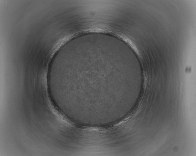 X0000091340482200708171414