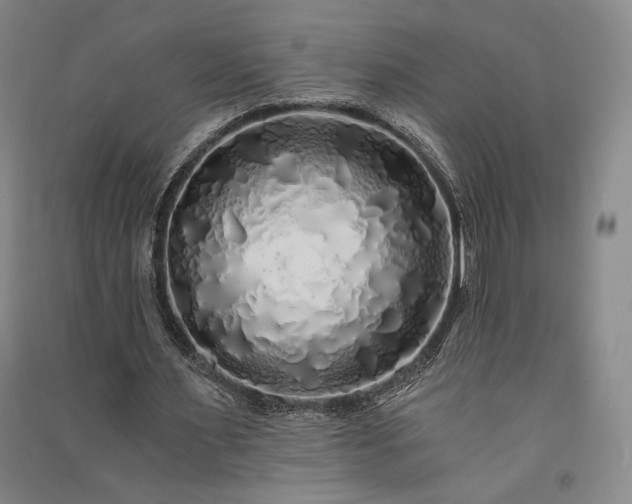 X0000091340483200708171414