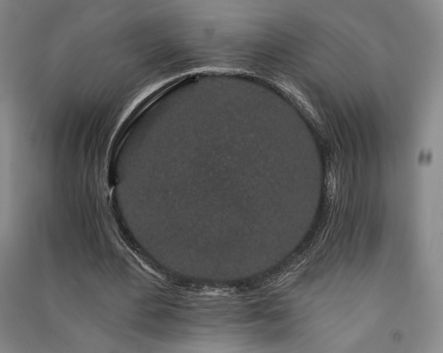 X0000091340484200708171414