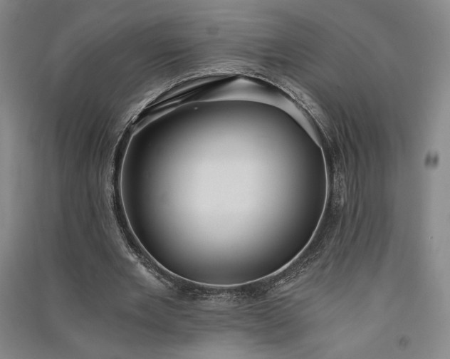 X0000091340485200708171414