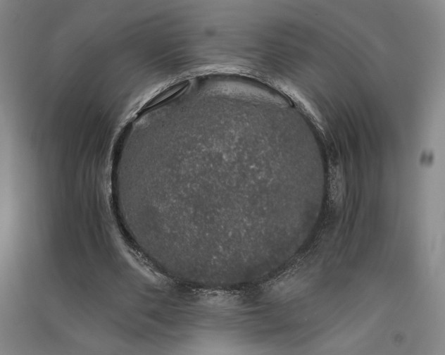 X0000091340486200708171414