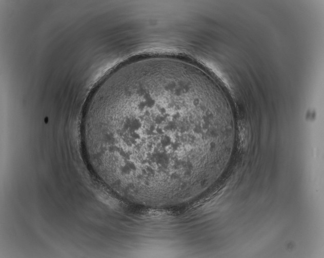 X0000091340487200708171414