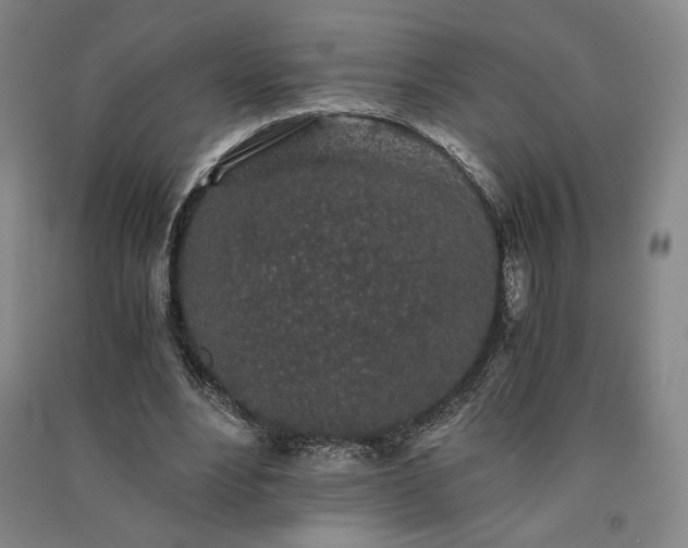 X0000091340488200708171414