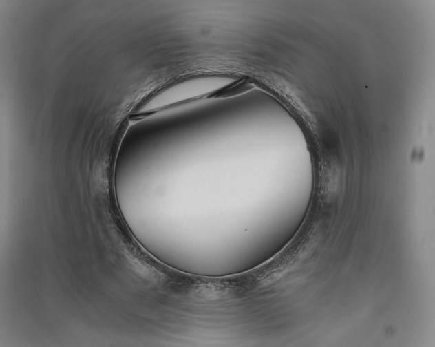 X0000091340489200708171414