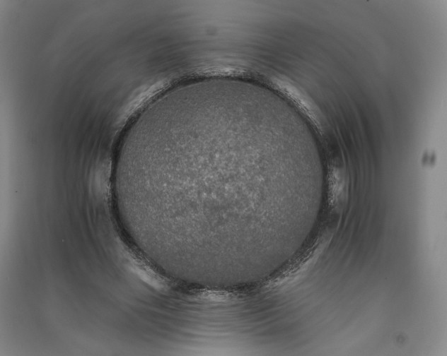 X0000091340490200708171414