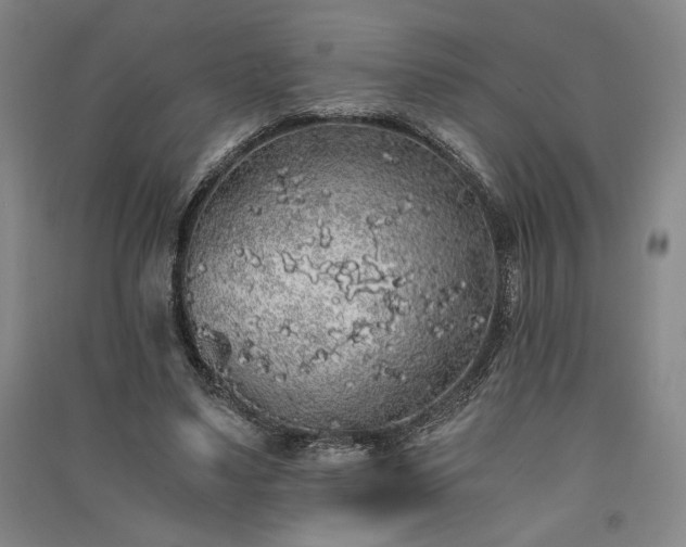 X0000091340491200708171414