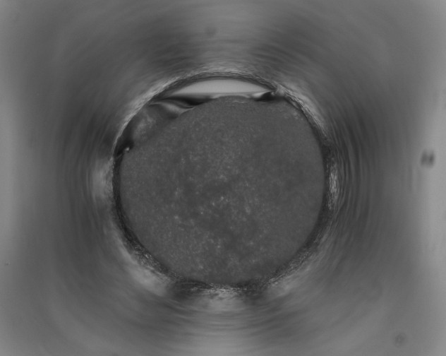 X0000091340492200708171414