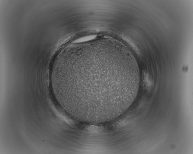 X0000091340494200708171414