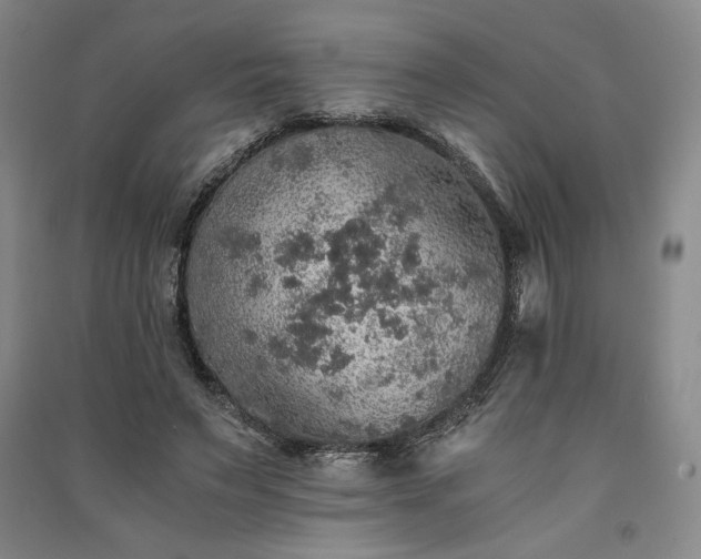 X0000091340495200708171414