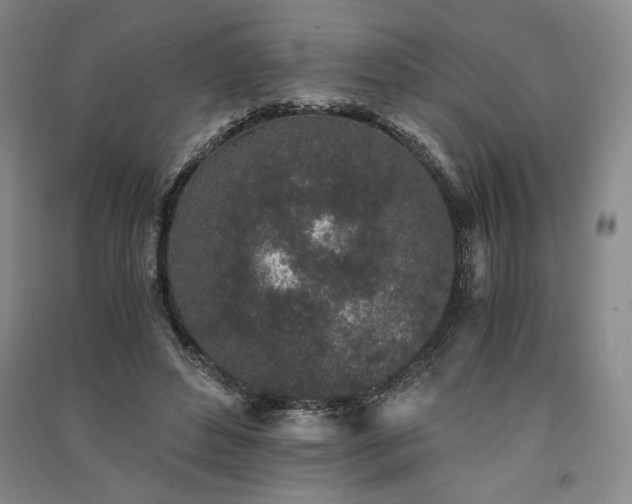 X0000091340496200708171414