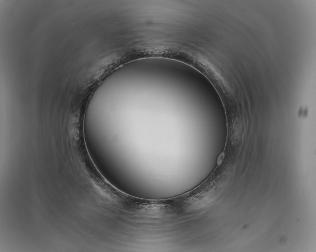 X0000091340497200708171414