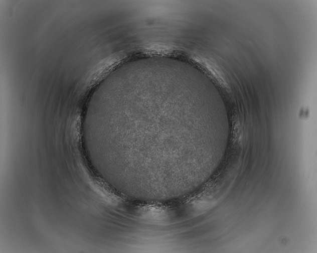 X0000091340498200708171414