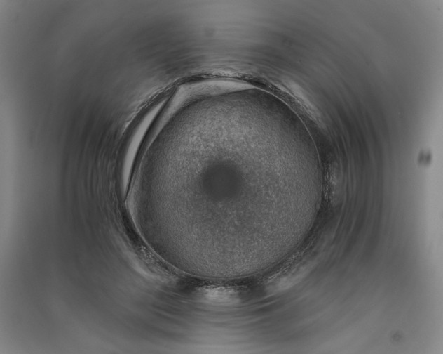 X0000091340500200708171414