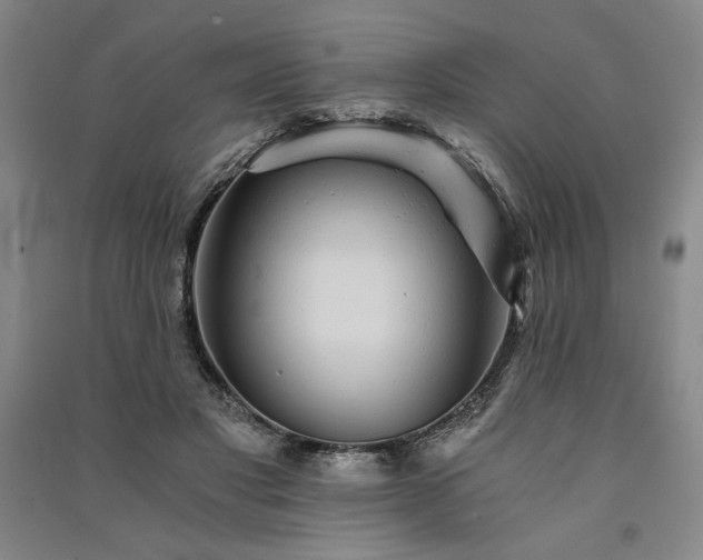 X0000091340501200708171414