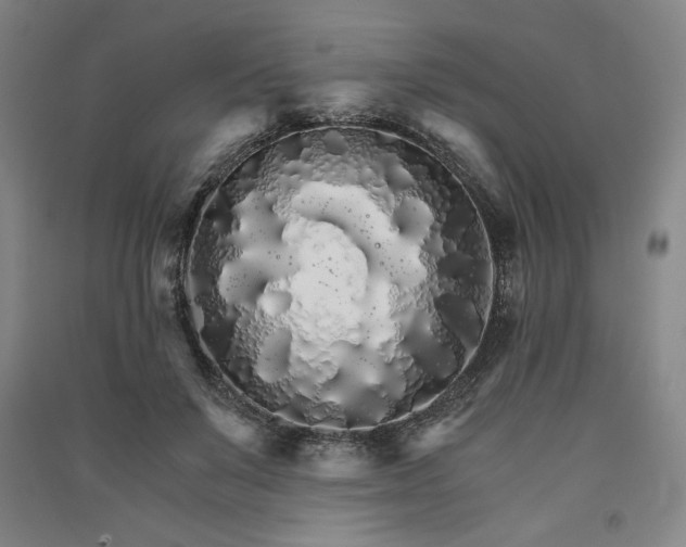 X0000091340503200708171413