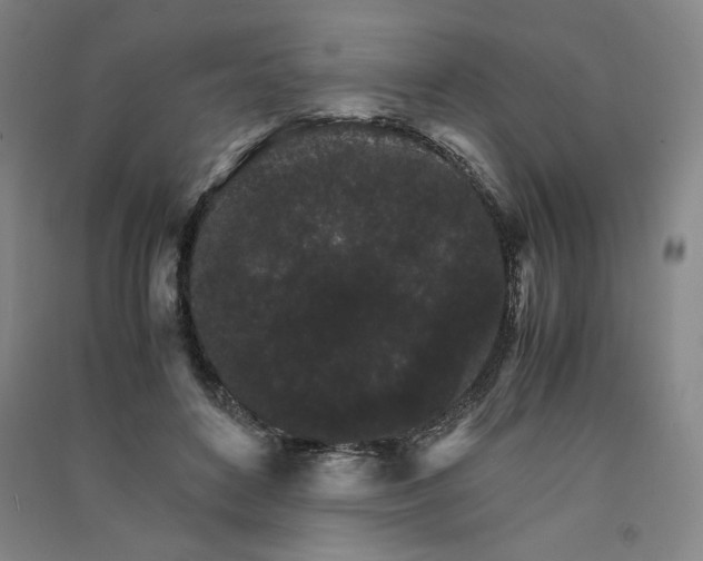 X0000091340504200708171413