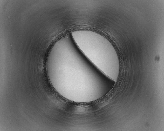 X0000091340508200708171413