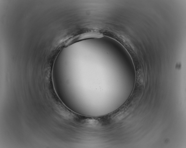 X0000091340509200708171413