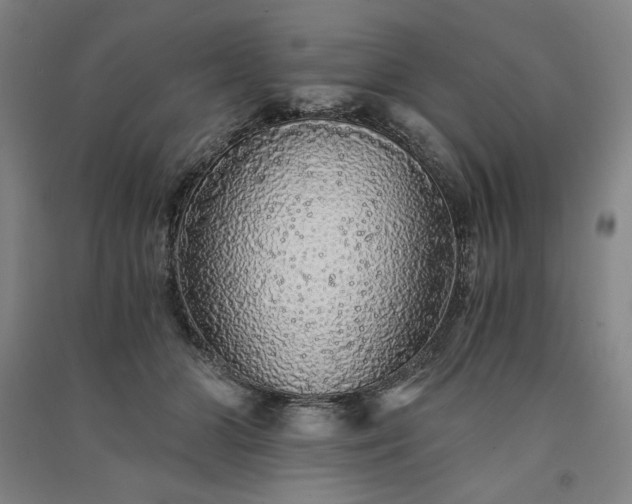 X0000091340510200708171413