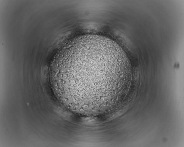 X0000091340511200708171413