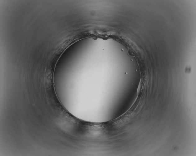 X0000091340513200708171413