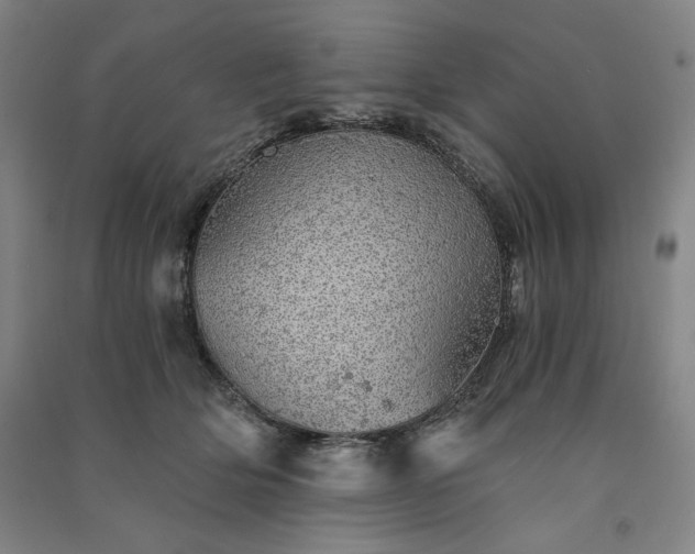 X0000091340514200708171413