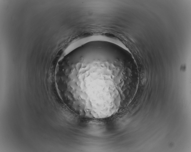 X0000091340515200708171413