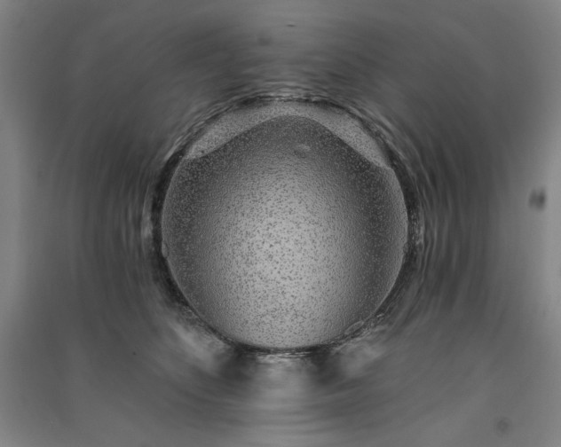 X0000091340516200708171413