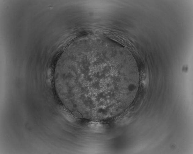 X0000091340519200708171413